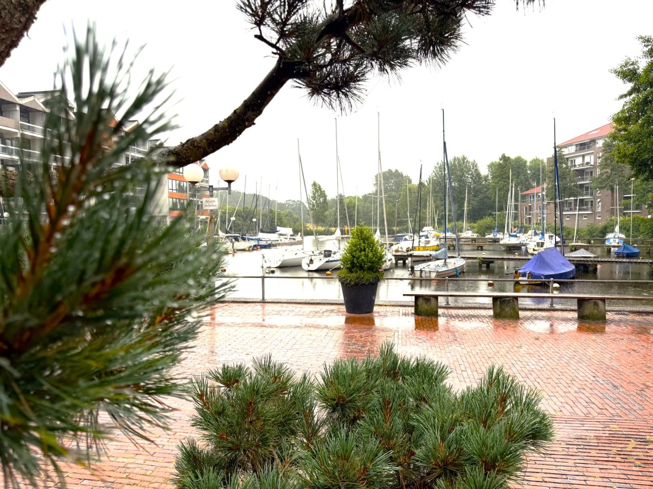 Blick zum Hafen