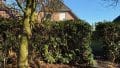 Blick vom Garten