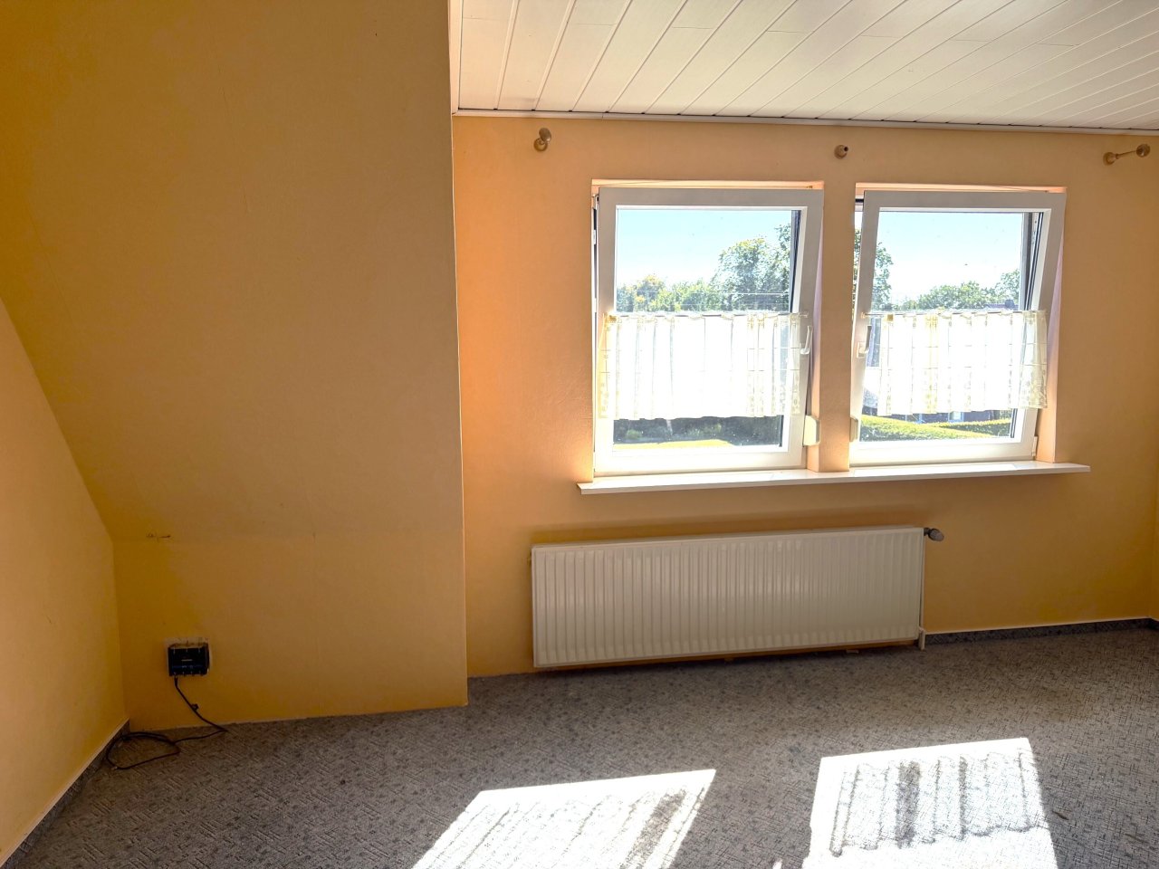 Zimmer DG