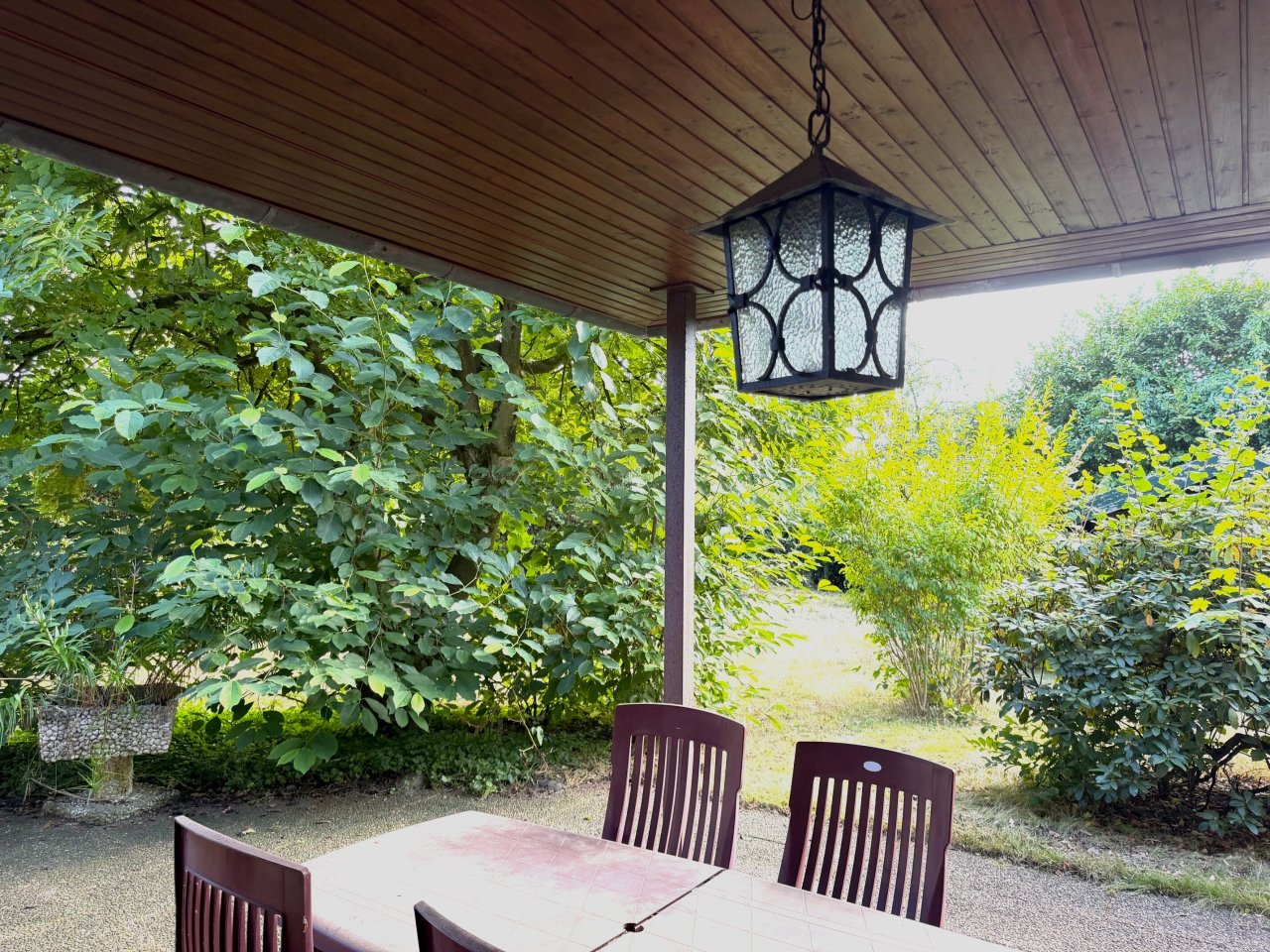 Blick in den Garten