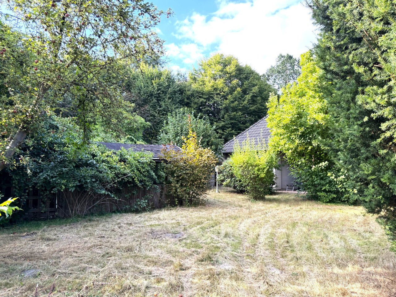 Garten mit Blick zum Haus