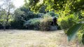Garten mit Hütte